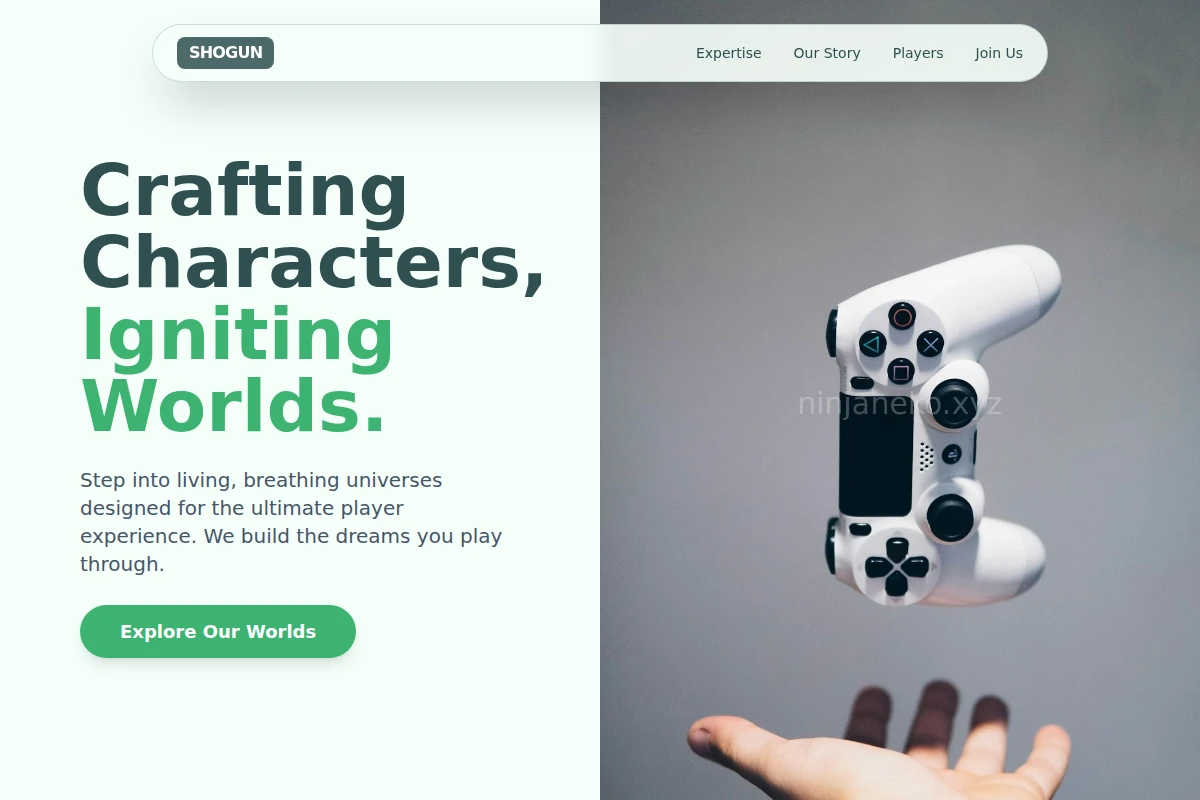 Vector Game Development Studio